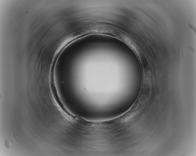 X0000098030803200803281407