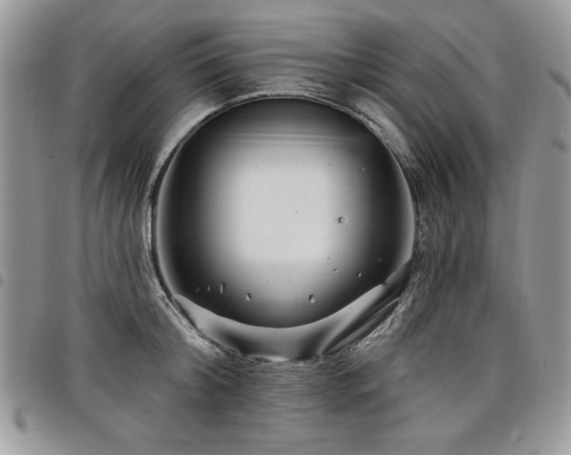 X0000098030804200803281407