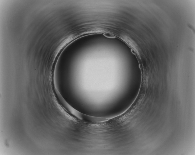 X0000098030805200803281407