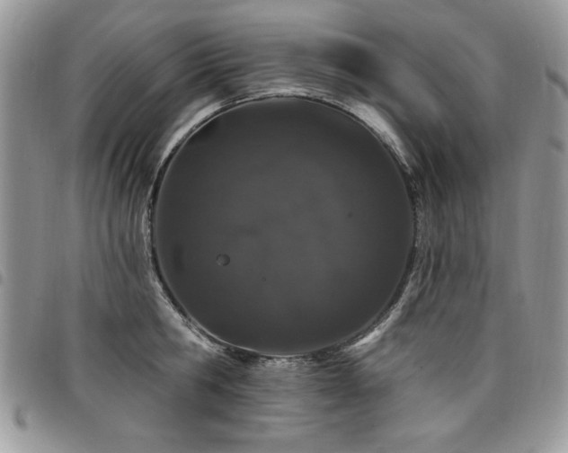 X0000098030806200803281407