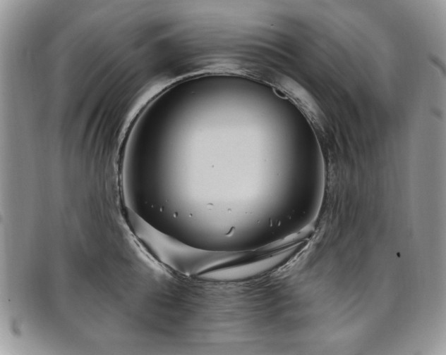 X0000098030808200803281407