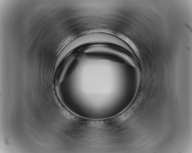 X0000098030809200803281407