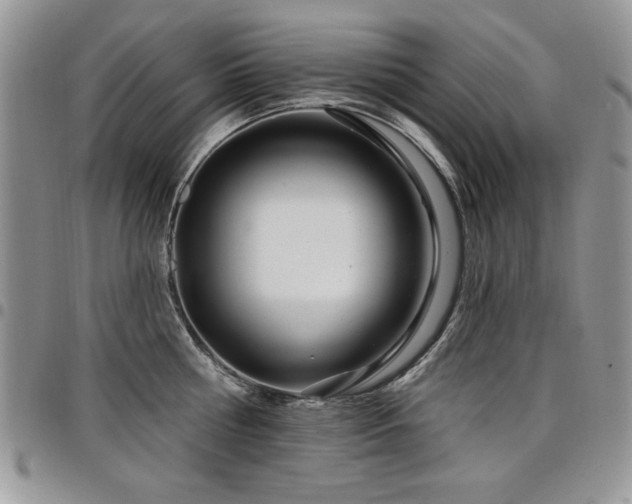 X0000098030810200803281407