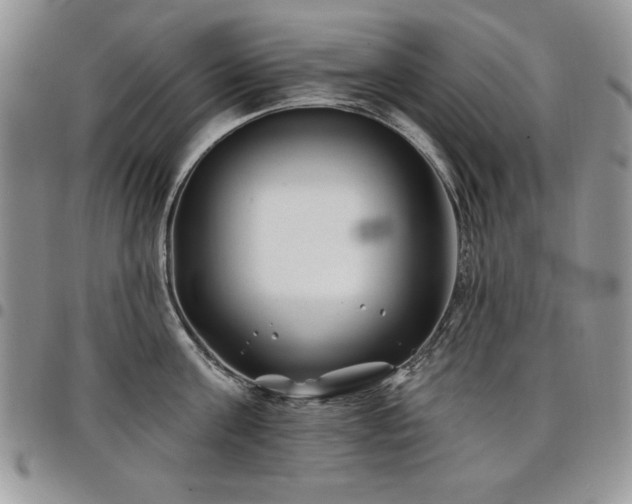 X0000098030811200803281407