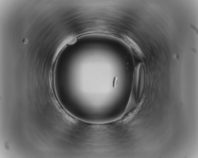 X0000098030812200803281407