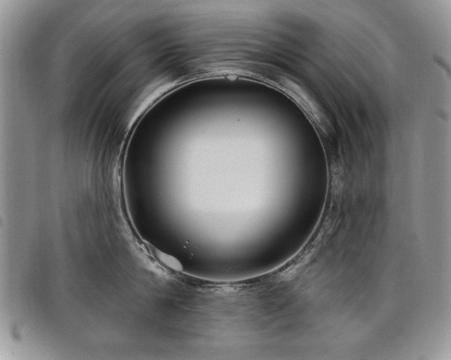 X0000098030814200803281407