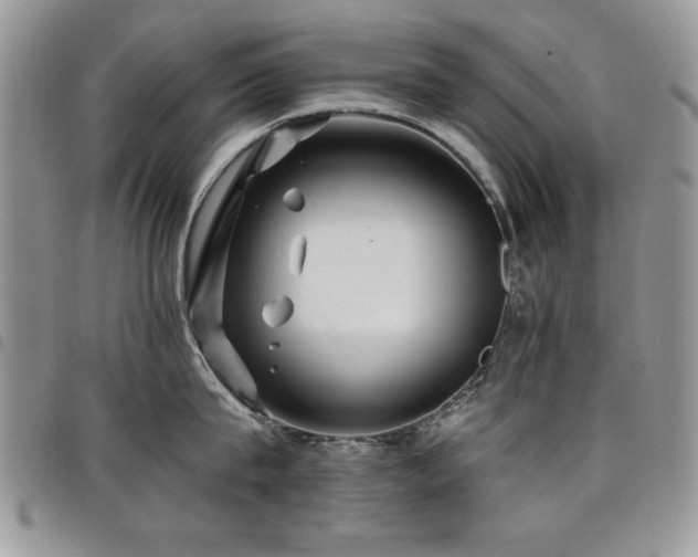 X0000098030815200803281407