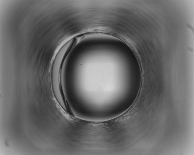 X0000098030816200803281407