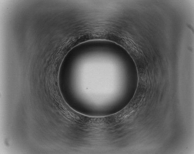 X0000098030817200803281406