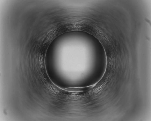 X0000098030818200803281406