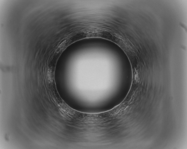 X0000098030819200803281406