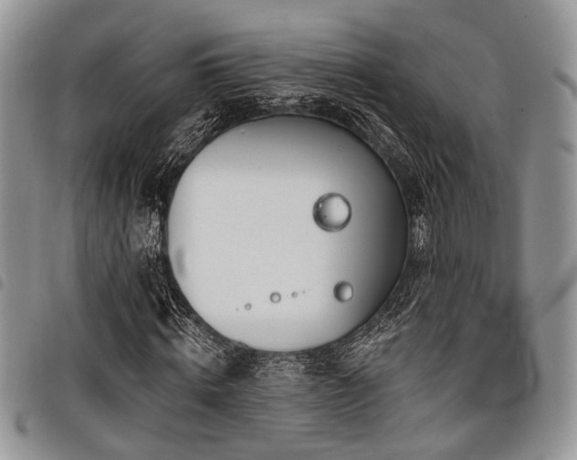 X0000098030820200803281406