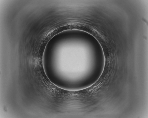 X0000098030822200803281406