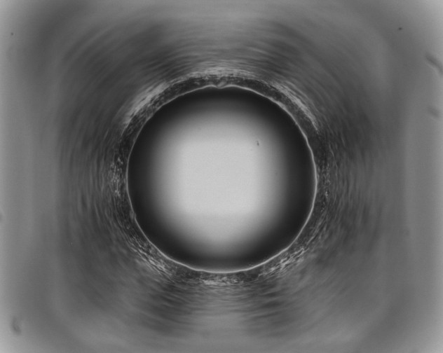 X0000098030823200803281406