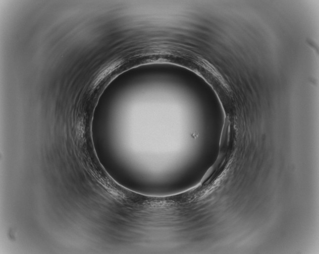 X0000098030826200803281406