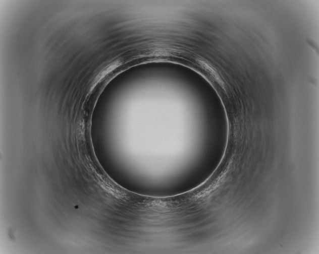 X0000098030827200803281407