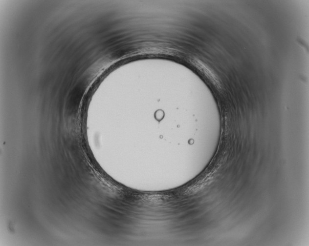 X0000098030828200803281407