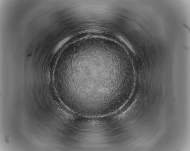 X0000098030829200803281407