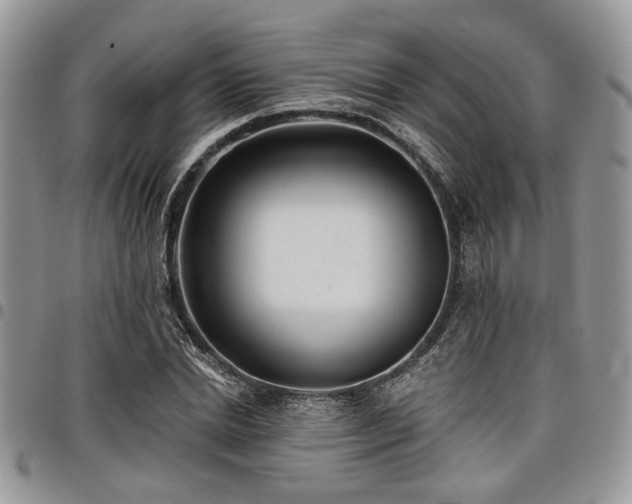 X0000098030830200803281407