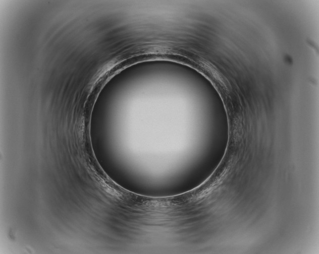 X0000098030831200803281407