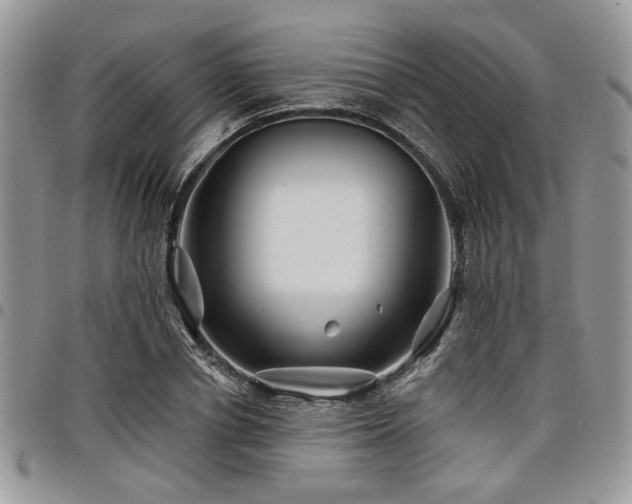 X0000098030834200803281407