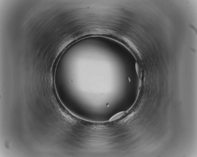 X0000098030837200803281407