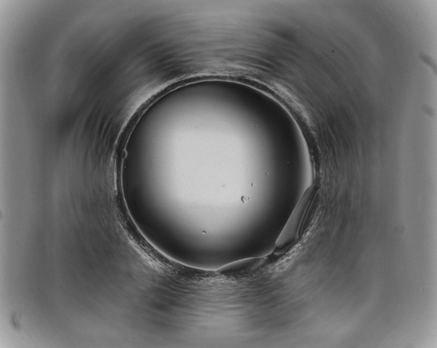 X0000098030838200803281407