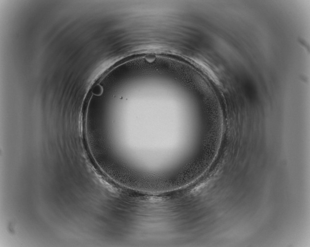 X0000098030839200803281407