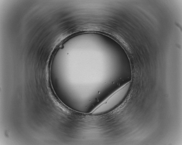 X0000098030840200803281407