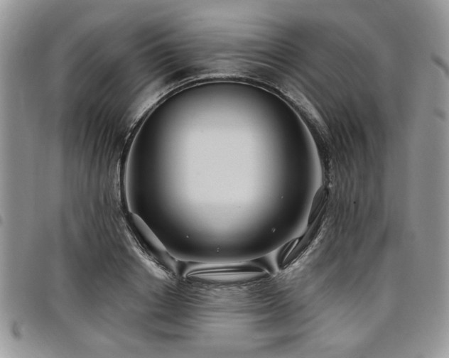 X0000098030842200803281407