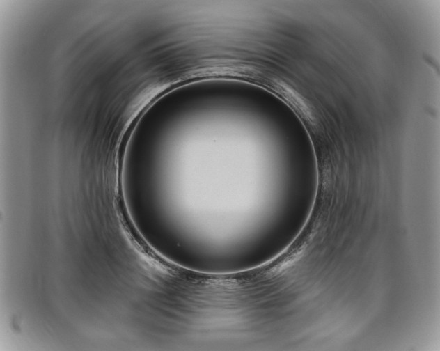 X0000098030844200803281407