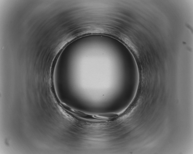 X0000098030845200803281407