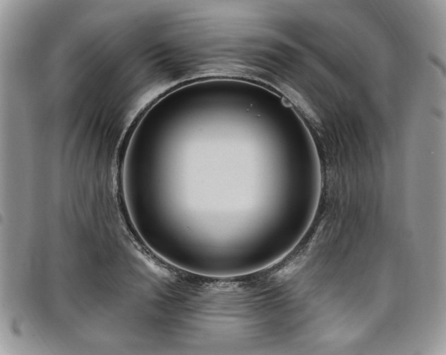 X0000098030846200803281407