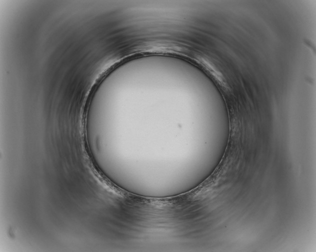 X0000098030848200803281407