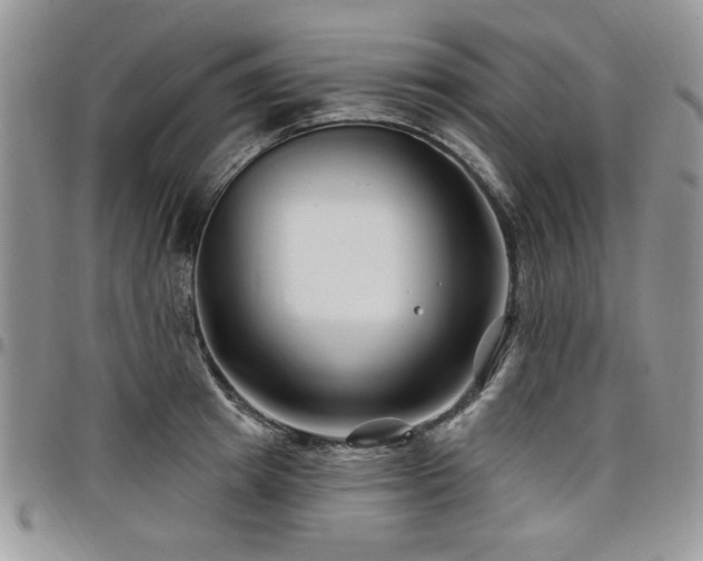 X0000098030849200803281407