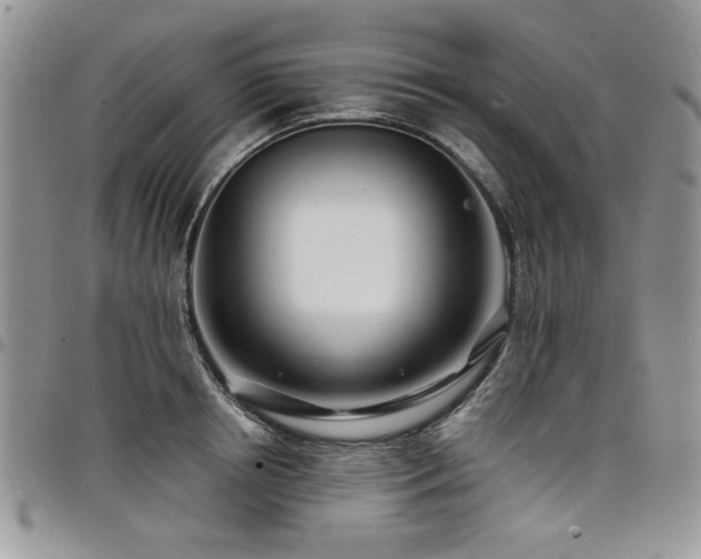 X0000098030850200803281407