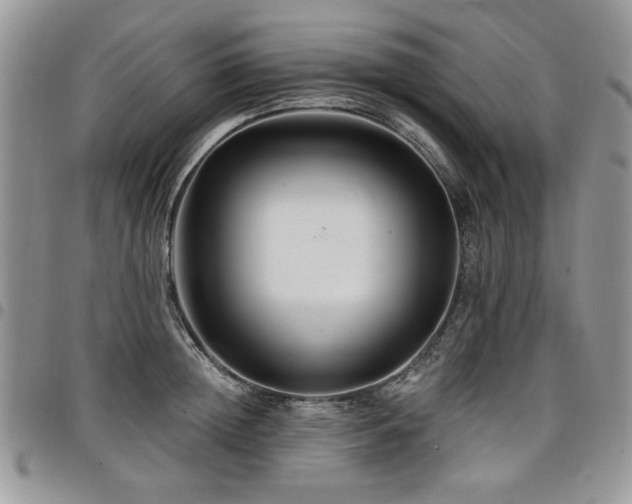 X0000098030852200803281407