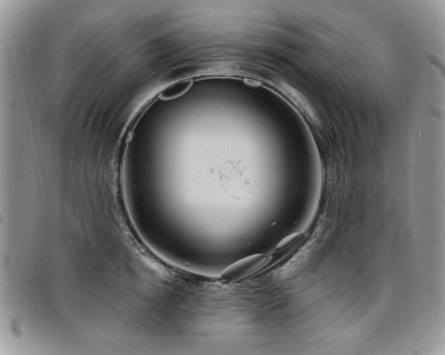 X0000098030854200803281407