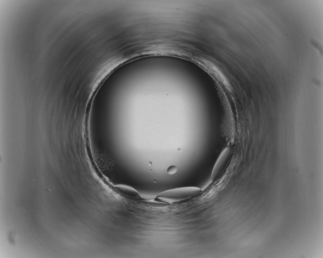 X0000098030855200803281407