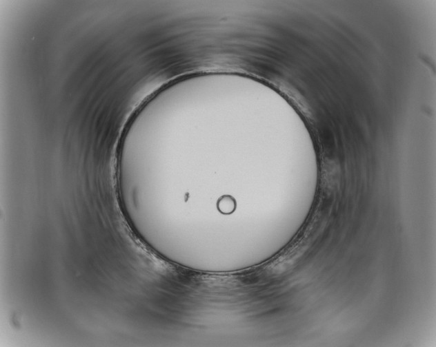 X0000098030856200803281407