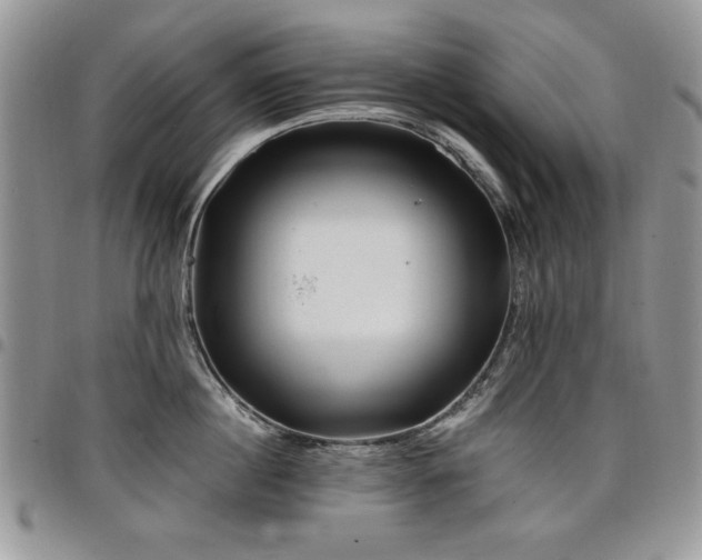 X0000098030860200803281407