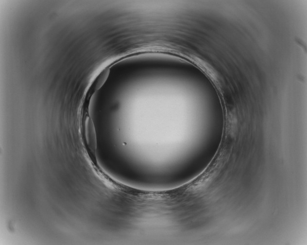 X0000098030862200803281407