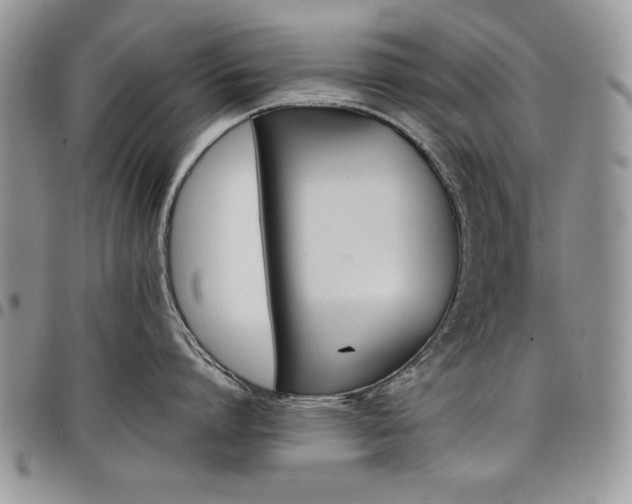 X0000098030864200803281407