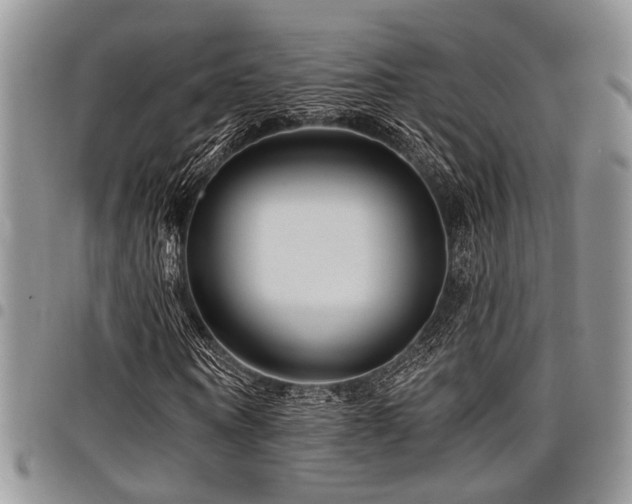 X0000098030866200803281406