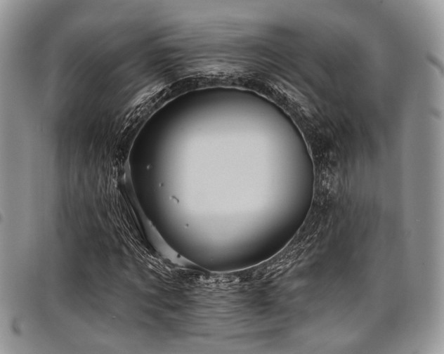 X0000098030869200803281406