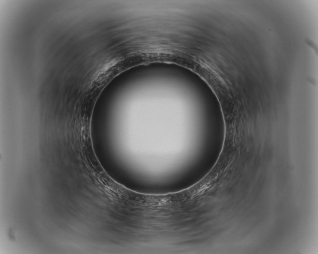 X0000098030870200803281406