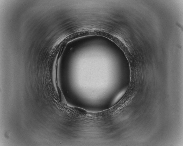 X0000098030871200803281406