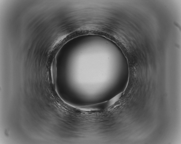 X0000098030872200803281406