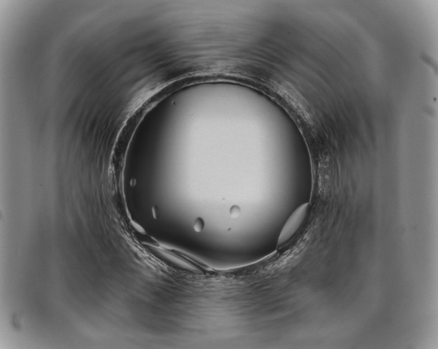 X0000098030876200803281406