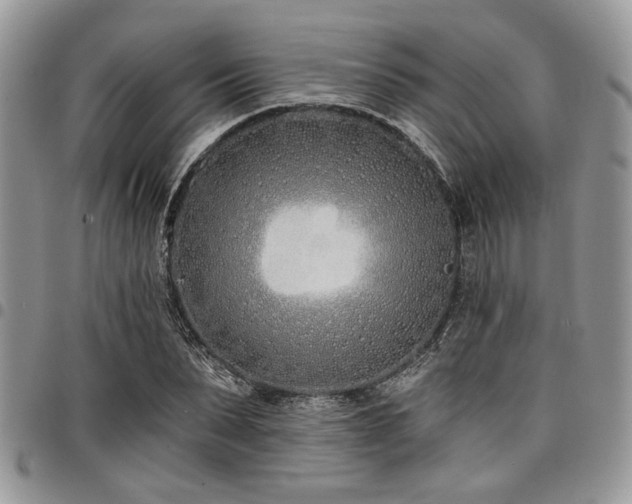 X0000098030879200803281406